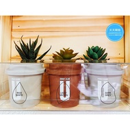 Korea UNNY CLUB Super Q Flexible Beauty Egg (3 In A Group) Every Day Korean Girl