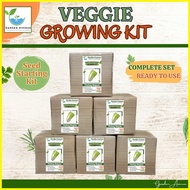 ◹ ☇◑ ◬ PECHAY BAGUIO GROWING KIT - READY TO USE/COMPLETE PACKAGE/POT/SOIL/SEEDS/MANUAL/LABEL STICK