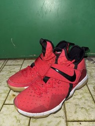 Nike air zoom LeBron 14