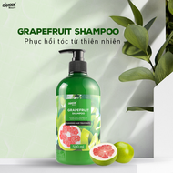 [ CHÍNH HÃNG ] Dầu Gội Bưởi Damode - GRAPEFRUIT SHAMPOO chống rụng nuôi dưỡng da đầu kích thích mọc 