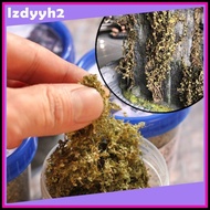 23g Miniatures Scatter Foliage Material Set for Diorama Dollhouse Decor