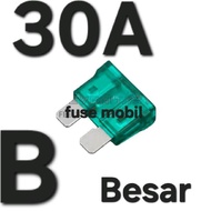 Large Plug-in Fuse 30A (Pius Fuse Fuse Flat Plug 30 A Ampere 12V 24V 36V 48V 58V Car Motorcycle Dc E