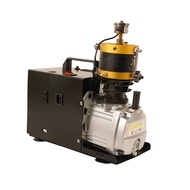 4500PSI 300Bar PCP High Pressure Compressor Electric Compressor for Pneumatic Rifle Gun Air Tank Set