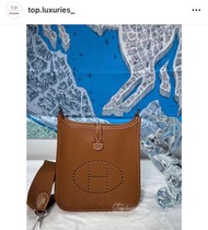 Hermes mini evelyne