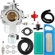 Carbhub 792768 Carburetor with Air Filter Replace 796110 790023 594605 594603 591734 Fit for 21B807 