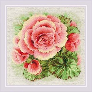 2122 - RIOLIS 十字繡材料包 - 玫瑰海棠