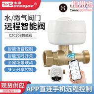 水享wifi鴻蒙智能電磁閥聯動水浸衛士燃氣警報器漏水漏氣保護神器