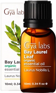 Gya Labs Organic Bay Laurel Leaf Essential Oil for Hair Growth (10ml) - Pure, Therapeutic Grade Bay Leaf Oil - Perfect for Aromatherapy, Hair Loss, Aches &amp; Sleep - Use for Diffusion, Skin or Hair