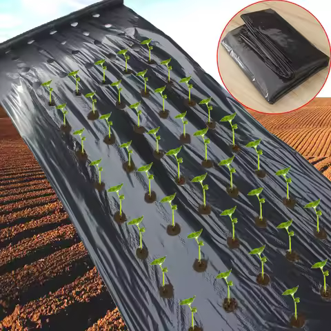 Agriculture Mulch Pre-punched Hole Plastic Film Greenhouse Weeds Control Mylar Strawberry Vegetable