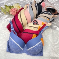 DD667 Beena Floral Pattern Large Chest Bra (Size 42-52 Cups D-DD)