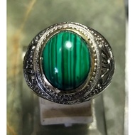 Malachite Peacock Feather