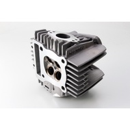 HEAD, CYLINDER DAYTONA ANIMA CYLINDER HEAD ALL MODELS
