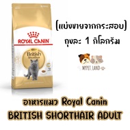 [แบ่งขายจากกระสอบ] อาหารแมว Royal Canin “BRITISH SHORTHAIR ADULT“ ถุงละ 1 กิโลกรัม