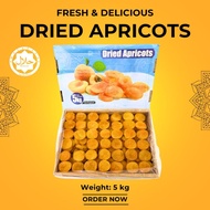 Premium Dried Apricot 5kg – Fresh & Nutritious