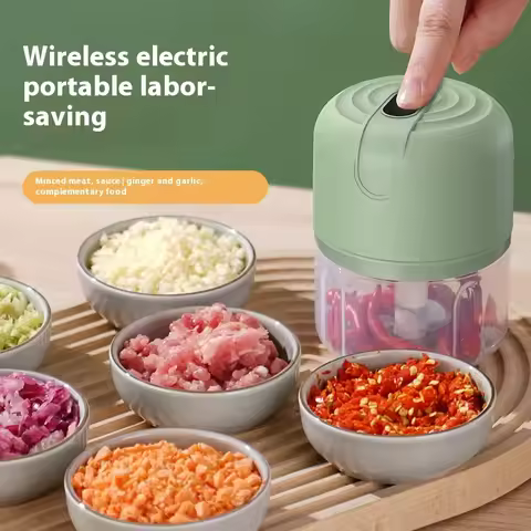 1 electric garlic puree machine, mini meat grinder, 250ML ginger chili chopper, onion grinder, kitch