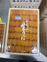 日本 小川商店 馬糞海膽