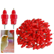 Nipple Ayam A7 Tempat Minum Ayam Otomatis