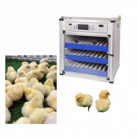 Eggs Automatic Egg Incubator for Chicken and Quail Farming