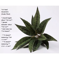 Artificial Sansevieria (Snake Plant) Bush Afoil273
