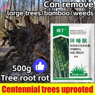 powder to kill big tree,herbicide to kill tree,tree killer chemical 500g,cycloazinone herbicide,gras
