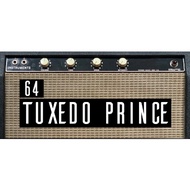 [Tone Junkie All Access 2023 - LINE 6/KEMPER/TONEX] 1964 Fender Princeton amp 6G2 [Tone Match/IR]