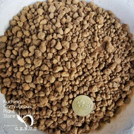 Ryusen Akadama Soil 龙泉赤玉土 3 ~ 6 mm ( Super hard akadama 超硬质赤玉土 Succulent Soil Mix 多肉植物混土 Topping 铺面 