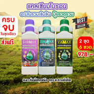 ( 2ชุด 6 ขวด ) CABMAX แคลเซียมโบรอนเข้มข้น + VAMAX ธาตุอาหารรวมเข้มข้น + ZENMAX อะมิโนรวมเข้มข้น