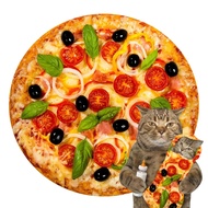 Warm Pizza Food Blanket Super Soft Plush Throw Blankets For Bed Sofa Bedspread Decorative Camping Wa