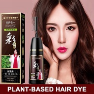 Hair Dye Colour Hair Shampoo Hair Coloring Comb Hair Dye Coloring Shampoo Black Hair Dye Shampoo col