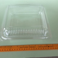 OPS L300 Plastic Container (50pcs+/-)