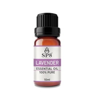 CLEARANCE EXP:01/25  SP8 Lavender Essential Oil