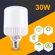 30W white light LED bulb