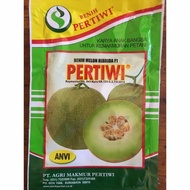 READY Bibit benih Melon Hibrida f1 PERTIWI ANVI.