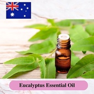 Eucalyptus Essential Oil 精油