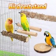 Natural Wood Bird Perch Stand Pole for Bird Cage | Prickly Ash Wooden Perch Chew Toy for Parrot