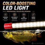 Arowana RGB Tanning  LED Light Special For Arowana MGBB Golden Head 24k Arowana