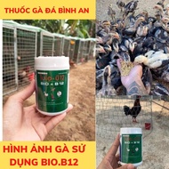 BIO B12 Úm gà con úm gà con mới nở tăng tỉ lệ sống 100% thích hợp cho gà asil kelso f1 tăng cường b1