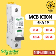 MCB SCHNEIDER IC60N 1P 6A 10A 16A 20A