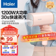 海尔（haier）挂烫机手持小型 蒸汽电熨斗家用差旅折叠迷你便携烫衣机 除菌除皱定型熨烫机 HY-GW2503