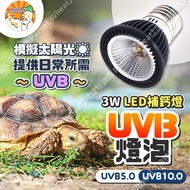 [UVB Content Full XLED Super Power Saving] Backlight Ultraviolet Light UVB Bulb Ultraviolet Bulb Tur