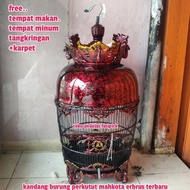 TERBARU kandang burung perkutut mahkota/sangkar perkutut mahkota erbrus/kandng PROMO