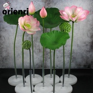ORIENRI Artificial Flower, Artificial Flower Pole Long Stem Artificial Lotus, Lotus Pod Lotus Leaf L