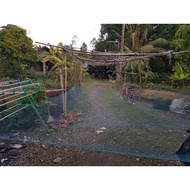 Anco net 1-1 holeNilon 2 inch/ (2cm x 2cm) D6 thread