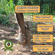 DOVE NET DOVE NET DOVE NET NET FOR DOVE NET FOR DOVE NET FOR DOVE NET FOR LARGE BIRD NET FOR LARGE B