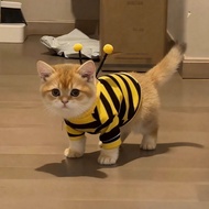 Funny Bee Pet Hoodie | Cute Dog & Cat Clothes for Small Dogs Beagle British Shorthair Spring Autumn 