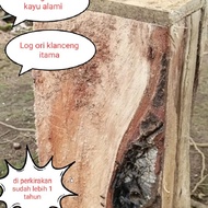 koloni klanceng Itama log ori