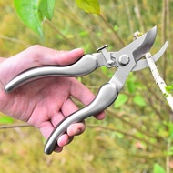 Stainless Steel Pruning Shears Pruning Branch Shears Fruit Tree Pruning Shears Pruning Shears Branch
