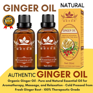 Ginger Oil Original Ginger Health Massage Oil / Ginger Essential Oil / Miracle Ginger Oil/ Slimming 