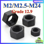 High Tensile Hex Nut Grade 12.9 M2 M2.5 M3 to M24 Black Oxide Coating Heavy Duty Hexagon Machine Nut