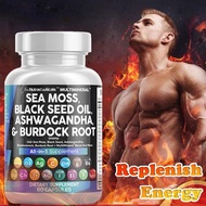 Sea Moss 3000mg Black Seed Oil 2000mg Ashwagandha 1000mg Turmeric 1000mg Bladderwrack 1000mg Burdock